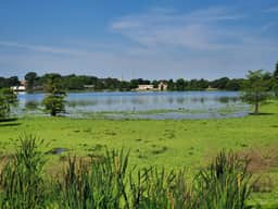 LSU Lakes