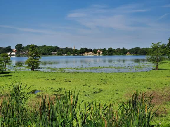 LSU Lakes